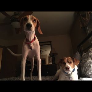 Meet your Posher, Ryan